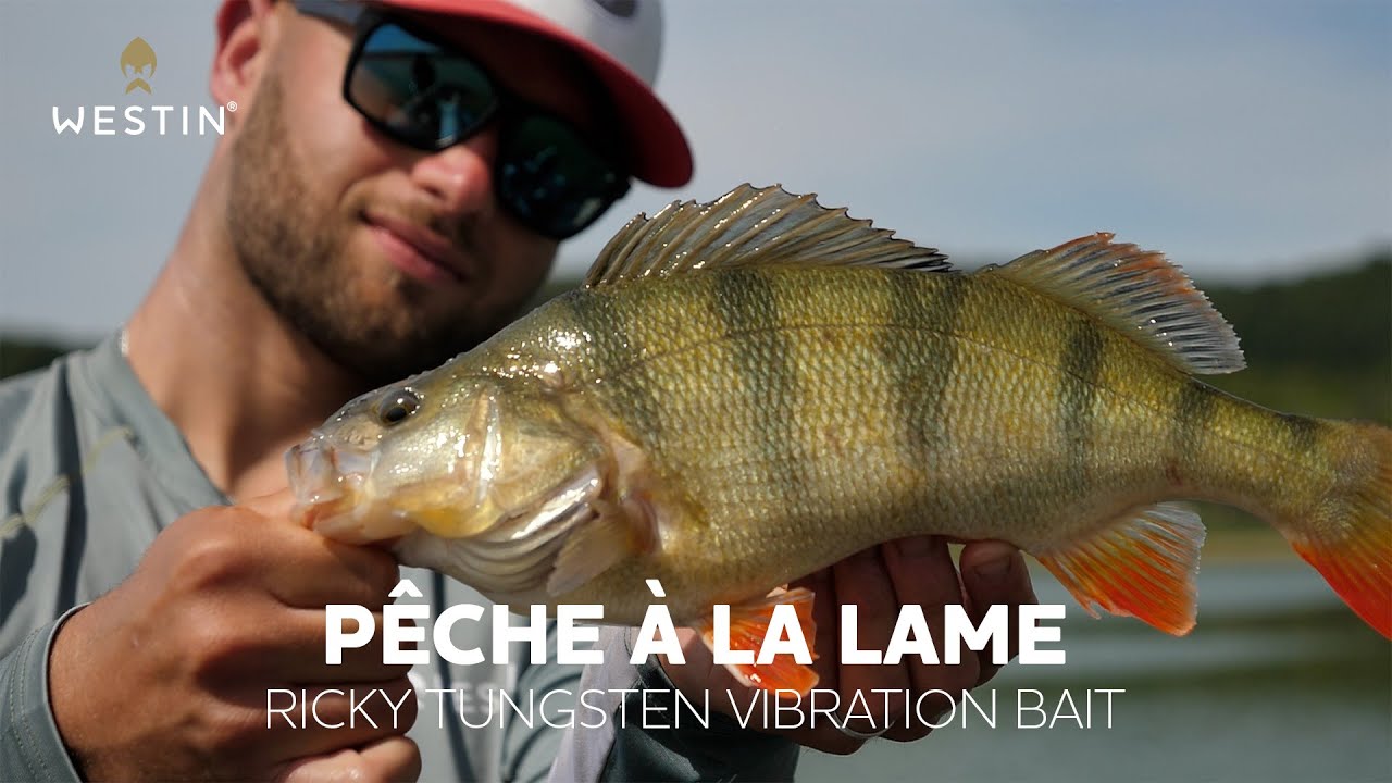 Pêche de la perche à la lame | Westin Fishing France