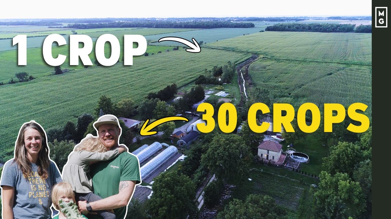 Эта небольшая ферма — настоящий оазис посреди кукурузного поля! | Экскурсия по ферме Aslan Organics