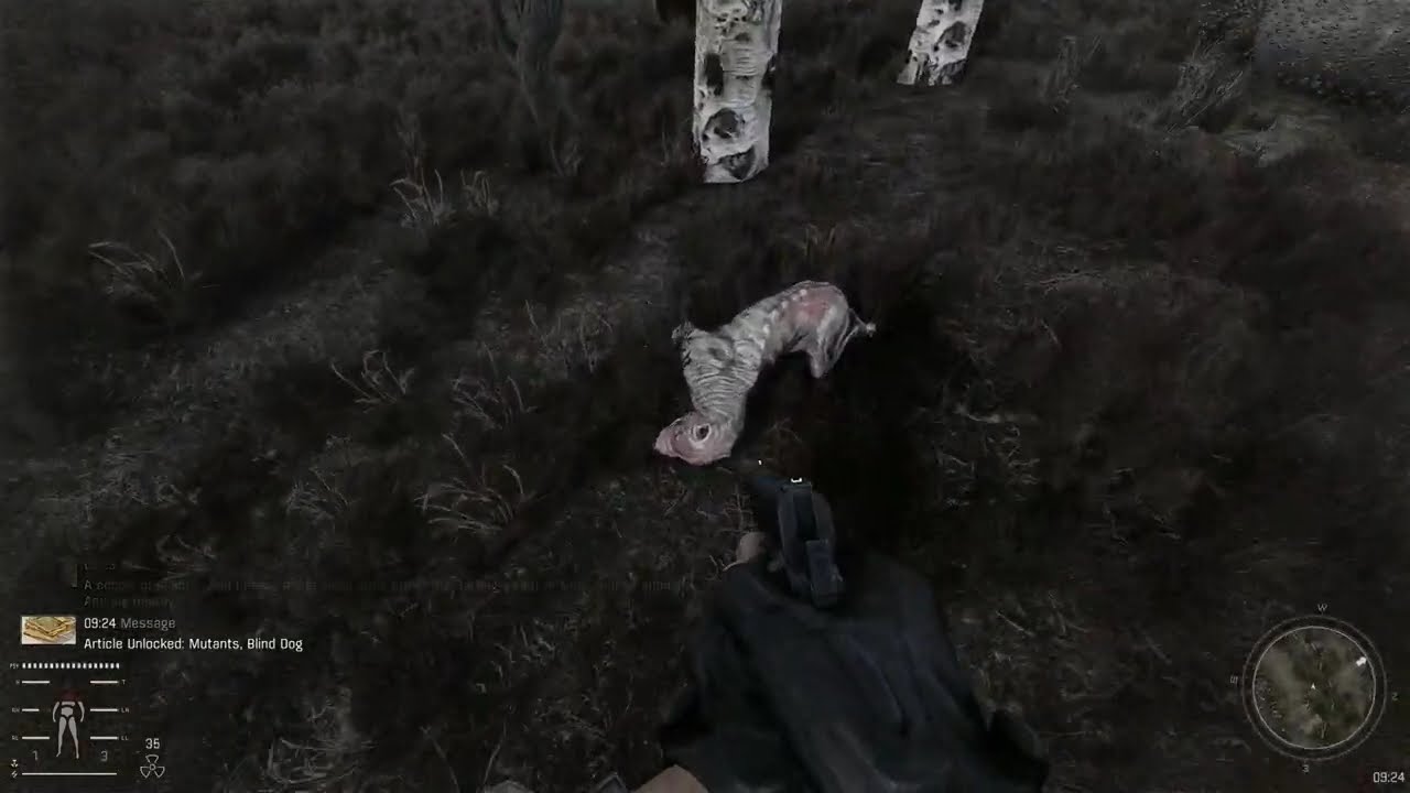 Stalker Ironman Fail - 3