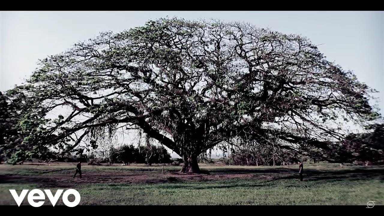 Viniloversus - Juega Bien Tus Cartas