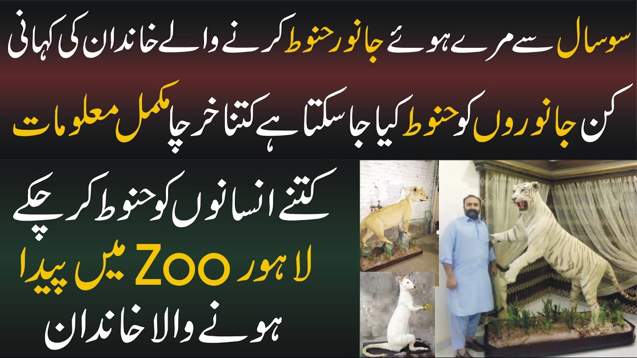 100 Sal se Bejaan Janwar Hanoot Karne Wala Khandan lion in pakistan birds in pakistan