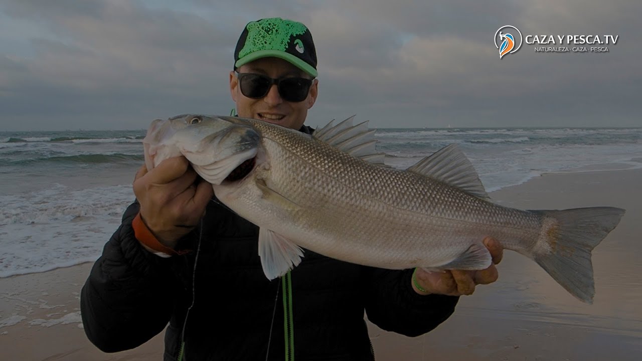 【 𝐒𝐮𝐫𝐟𝐜𝐚𝐬𝐭𝐢𝐧𝐠 𝐞𝐧 𝐌𝐚𝐳𝐚𝐠𝐨́𝐧 】🎣 𝑷𝒆𝒔𝒄𝒂 𝒅𝒆 𝑳𝒖𝒃𝒊𝒏𝒂 𝑿𝑿𝑳, Documental