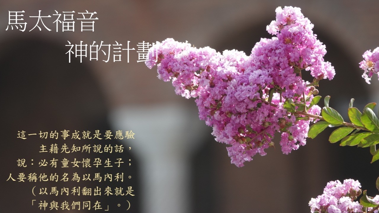 靈修:馬太福音-神的計劃 20260306