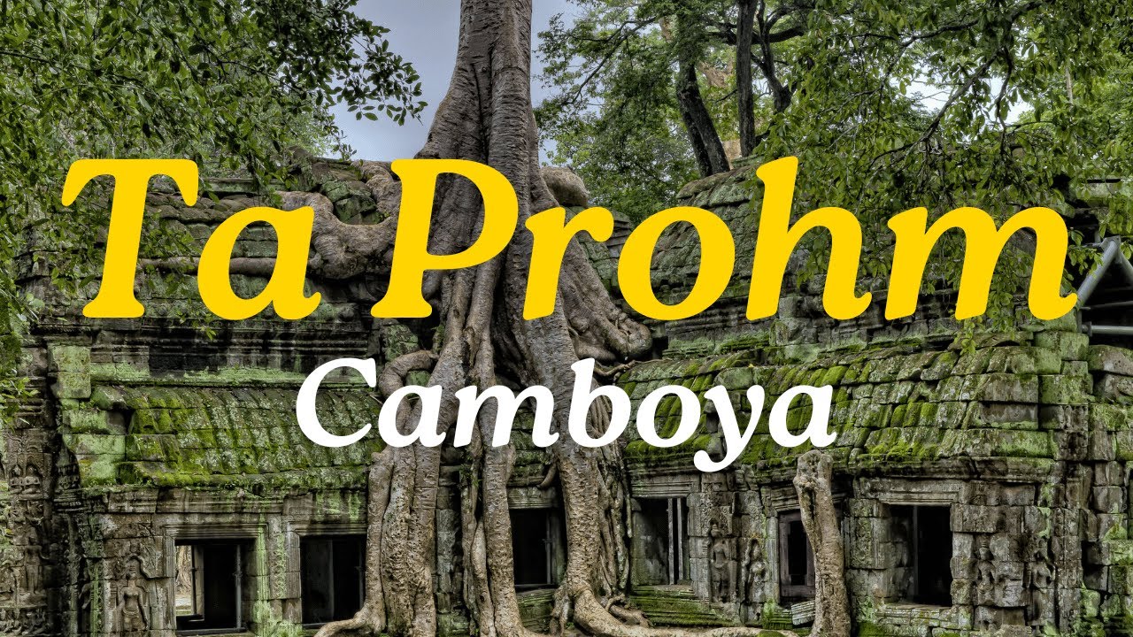 Ta Prohm: El Templo M&aacute;s M&iacute;stico de Angkor, Camboya ✨🇰🇭
