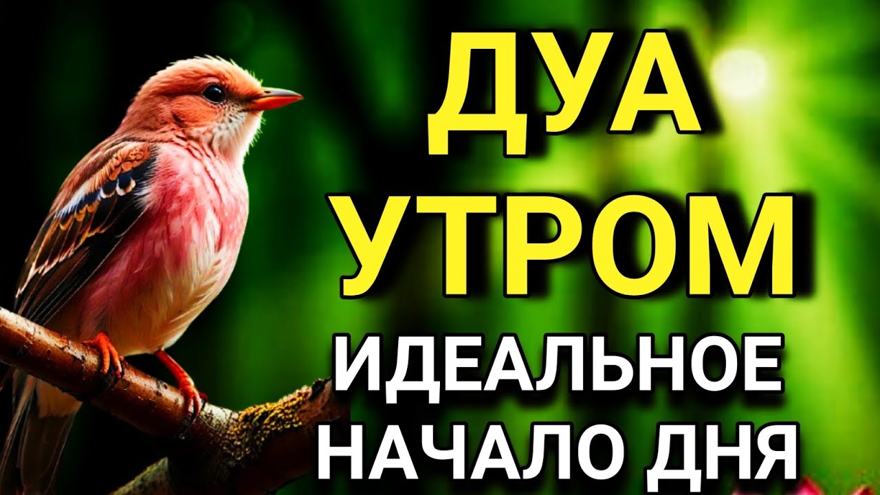УТРО С АЛЛАХОМ 🤲✨ ЛУЧШЕЕ ДУА ДЛЯ ИДЕАЛЬНОГО НАЧАЛА ДНЯ! 💖💯