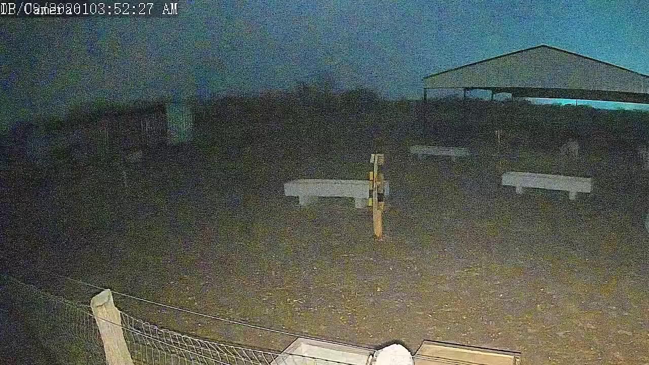 Mule Live Cam 3/8/26