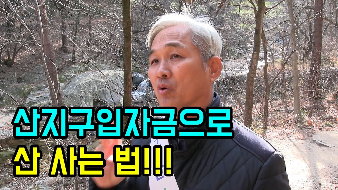 임야. 산 사실 분들 반드시 이렇게 구매하세요! 산지구입자금 받을 수 있습니다