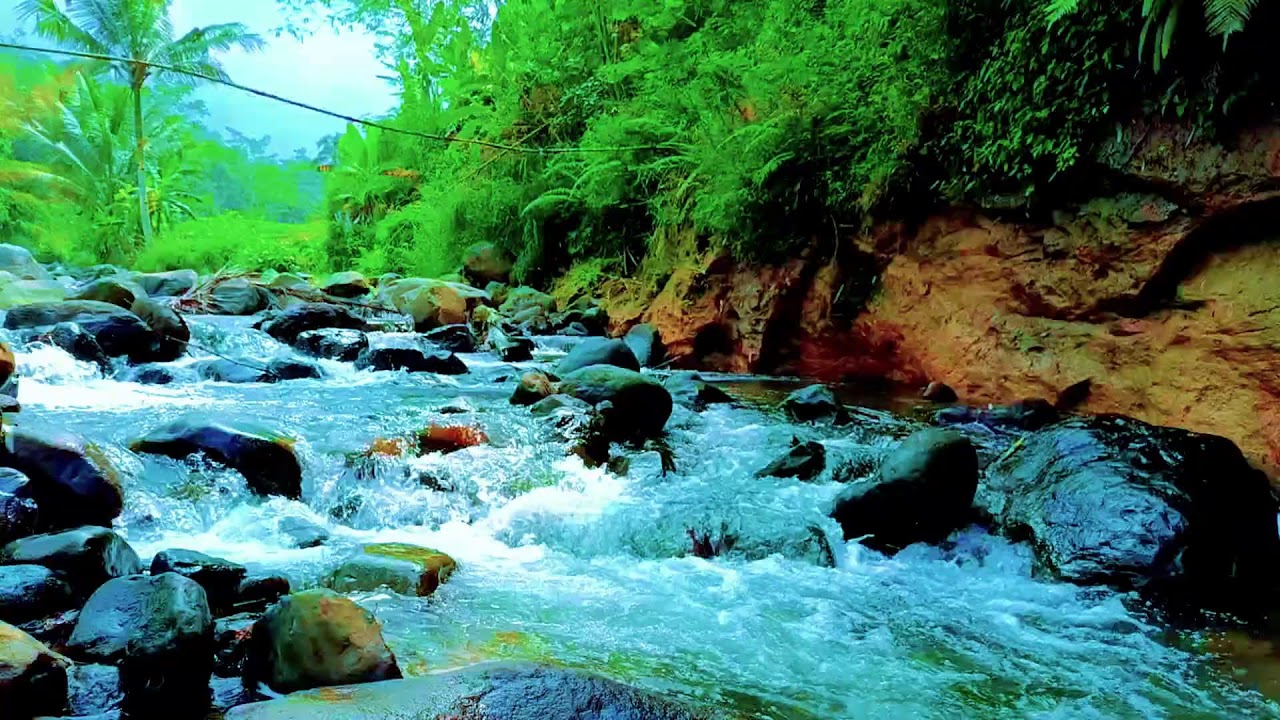 Hidden Forest River Ambience for Deep Sleep, Natural Relaxation, and Restful Night Therapy
