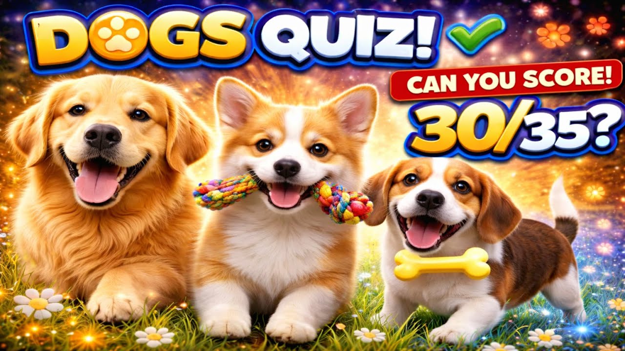 35 DOGS Questions - How many can you answer? #quizchallenge #dailyquiz #mindbendingquiz #dogs