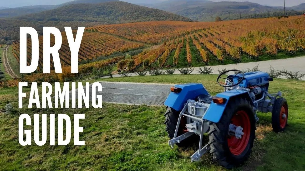 Dry Farming 101: Everything You Need to Know