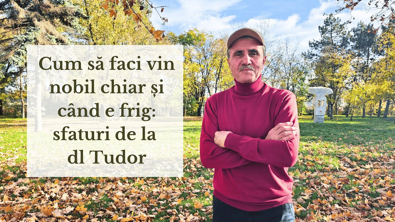 Cum să faci vin nobil chiar și când e frig: sfaturi de la dl Tudor
