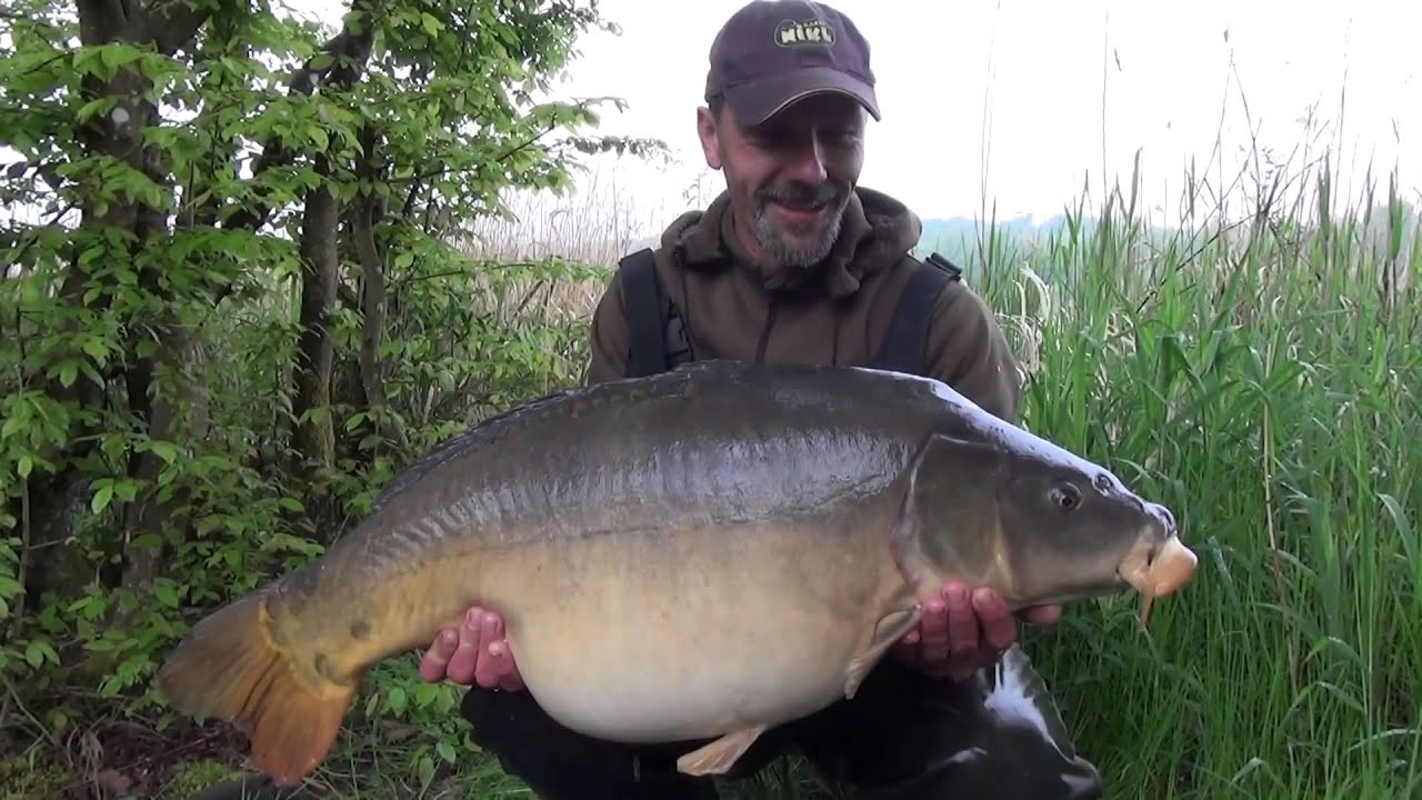 HELL YEAH STORY 2014 - BIG CARP FISHING