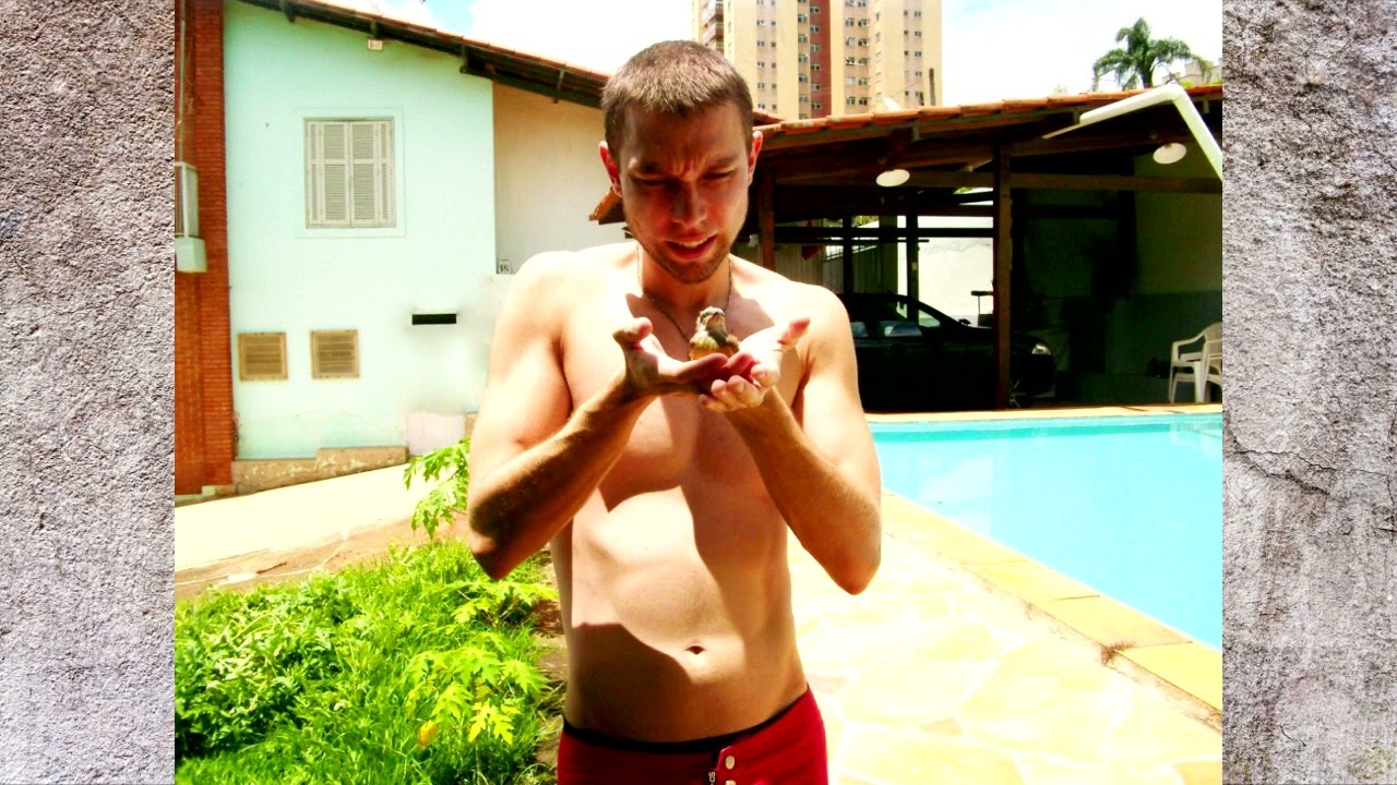 Stefano Missorelli - Lookbook - Fashion and Bird Friend