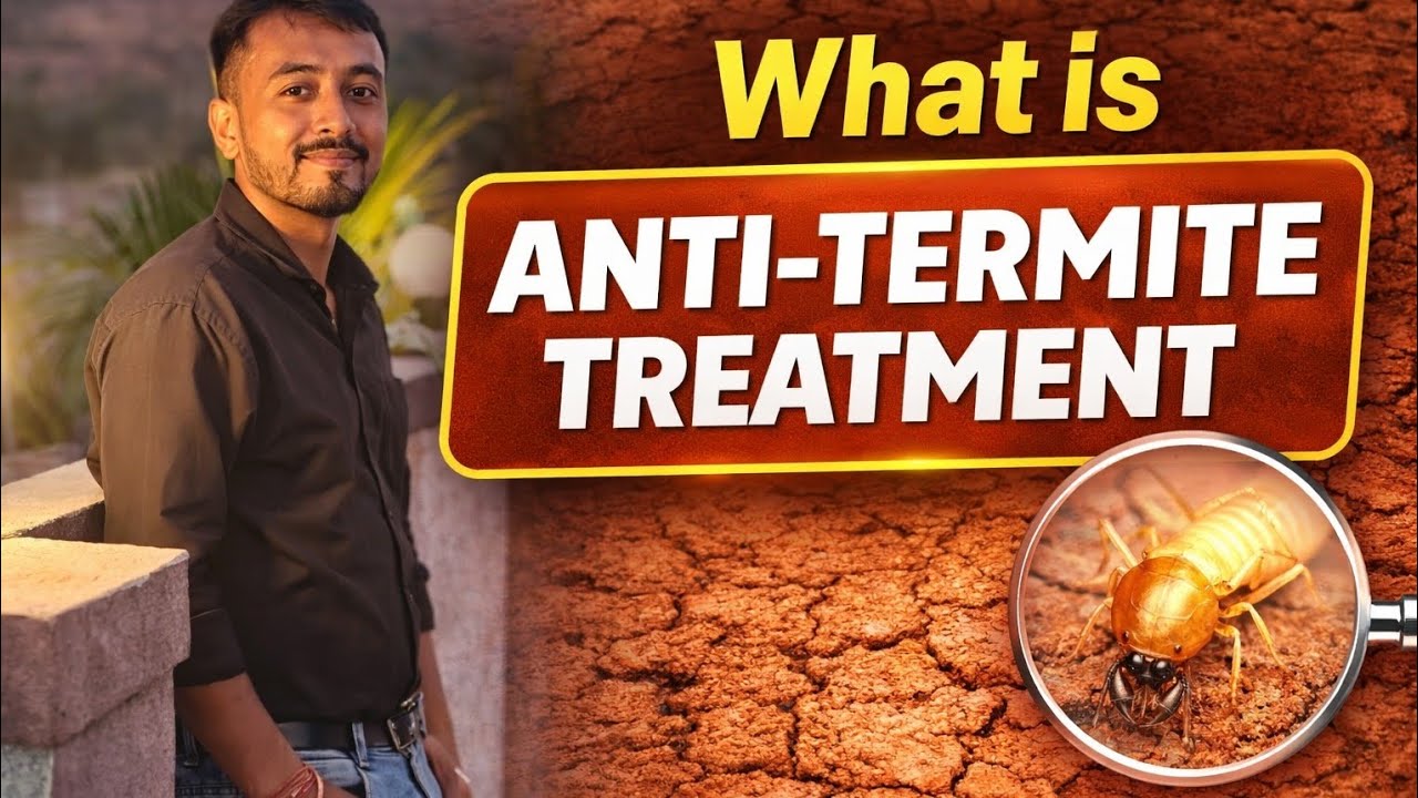 What is Anti-Termite Treatment? Complete Guide for Beginners | Site Practical