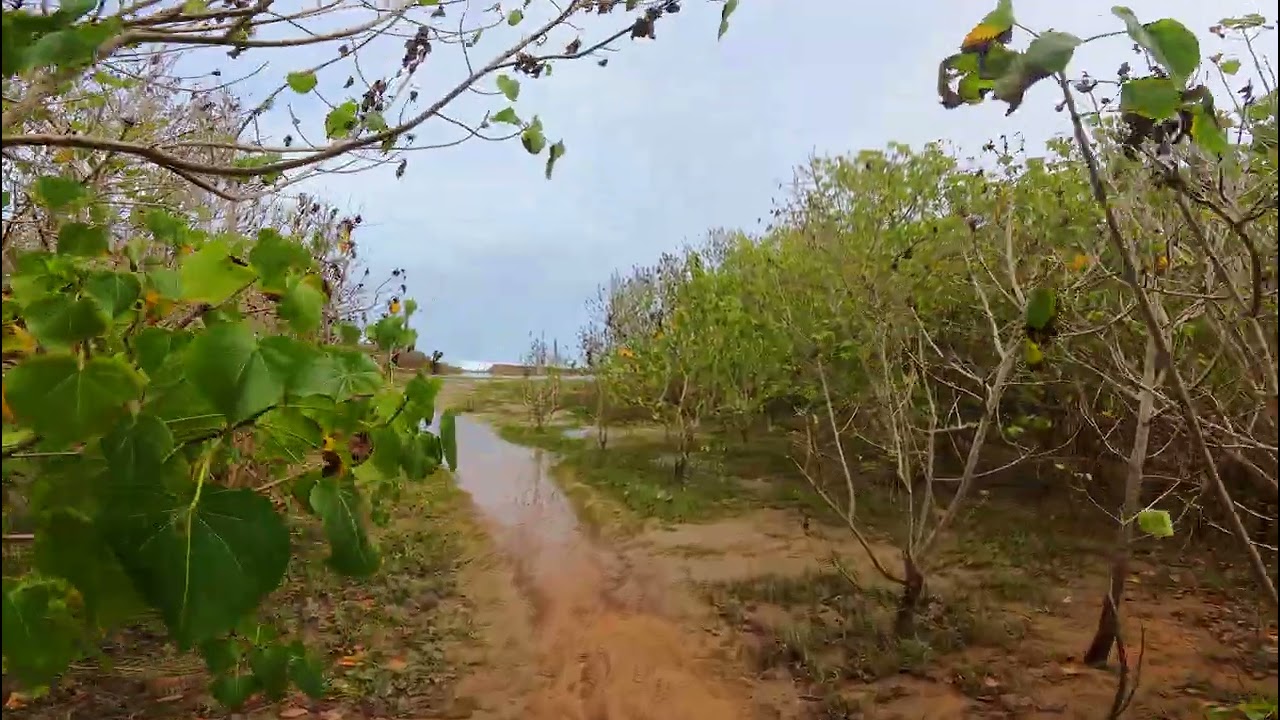 Playa Sola, March 1, 2026