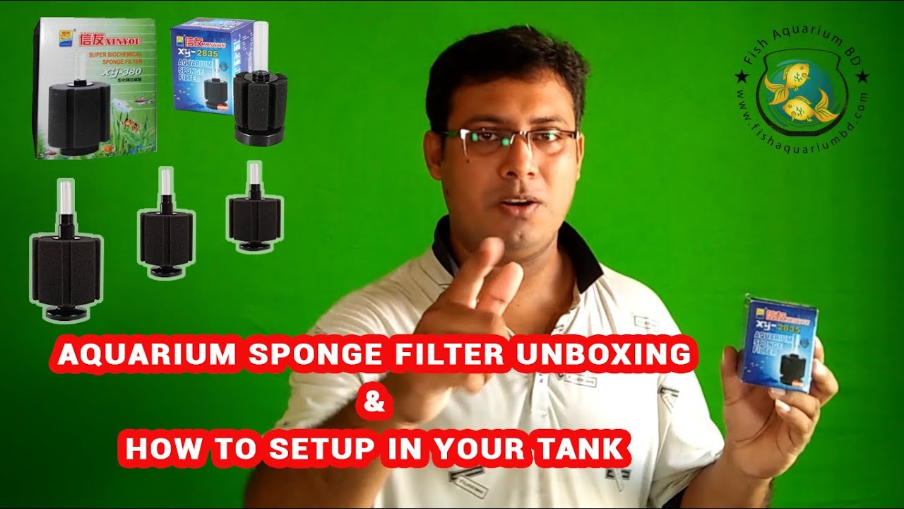 Aquarium Sponge Filter unboxing | ট্যাংক এ সেটাপ করার নিয়ম