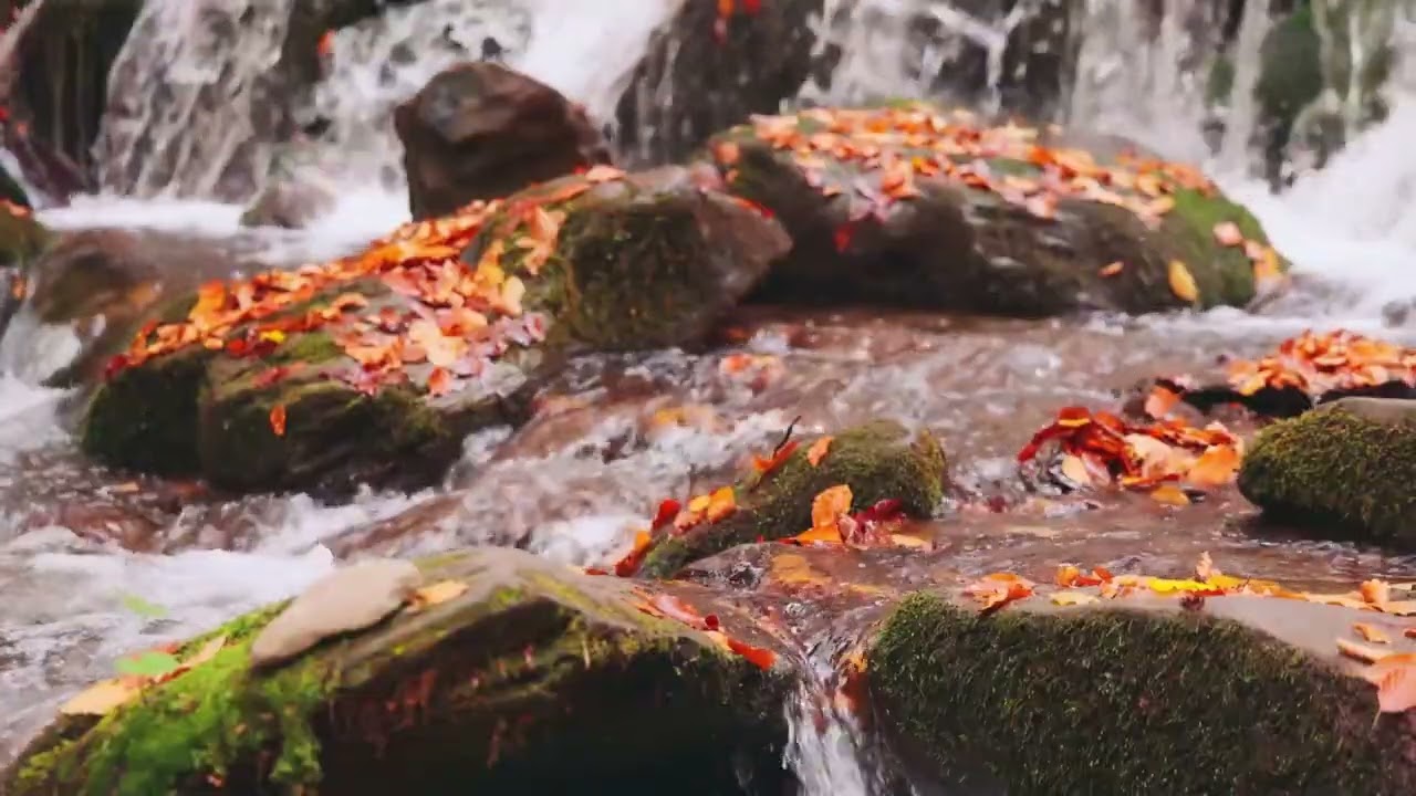 Calm Autumn Waterfall & River | Relaxing Nature Sounds for Sleep, Study & Stress Relief
