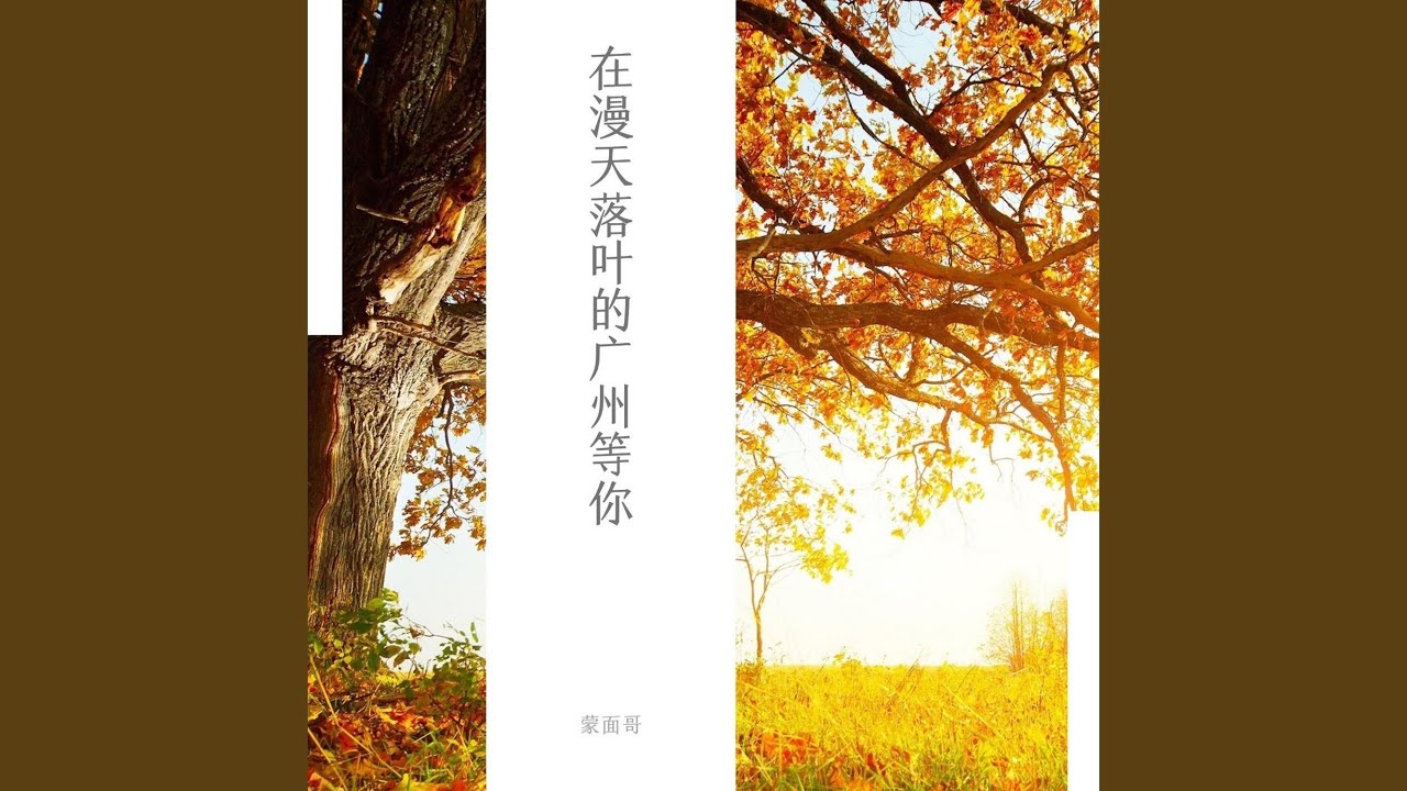 在漫天落叶的广州等你