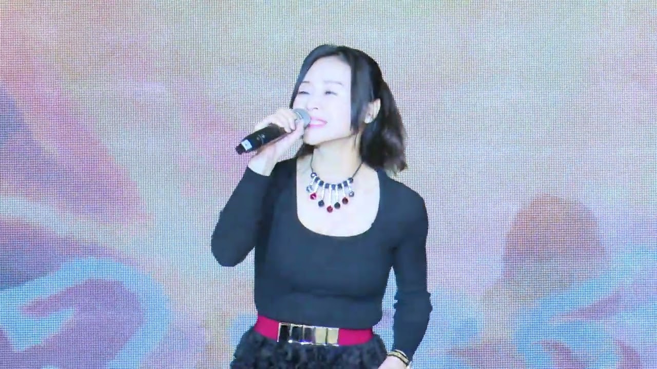 2026 01 22 國際獅子會300A3區台北市文韜獅子會演唱會暨服裝秀 我只在乎你 陳采婕