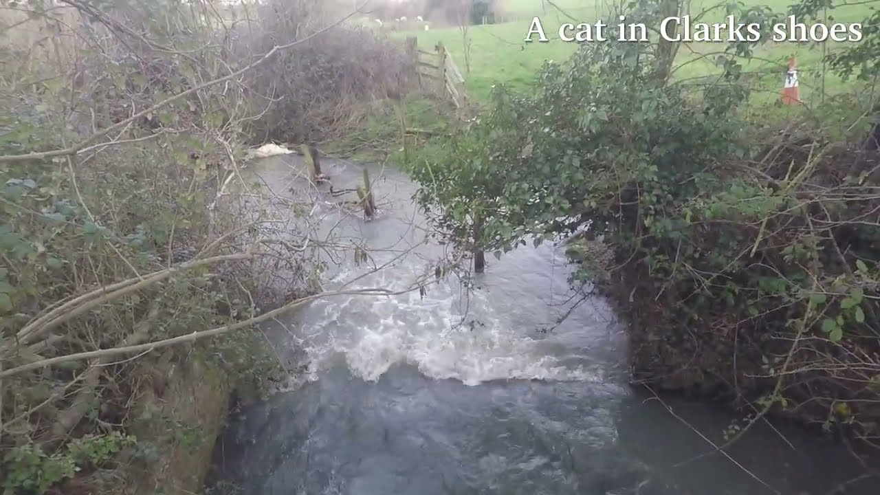 'A cat in Clarks shoes' part 5, a Valentine's Day mooch around the Cranfords