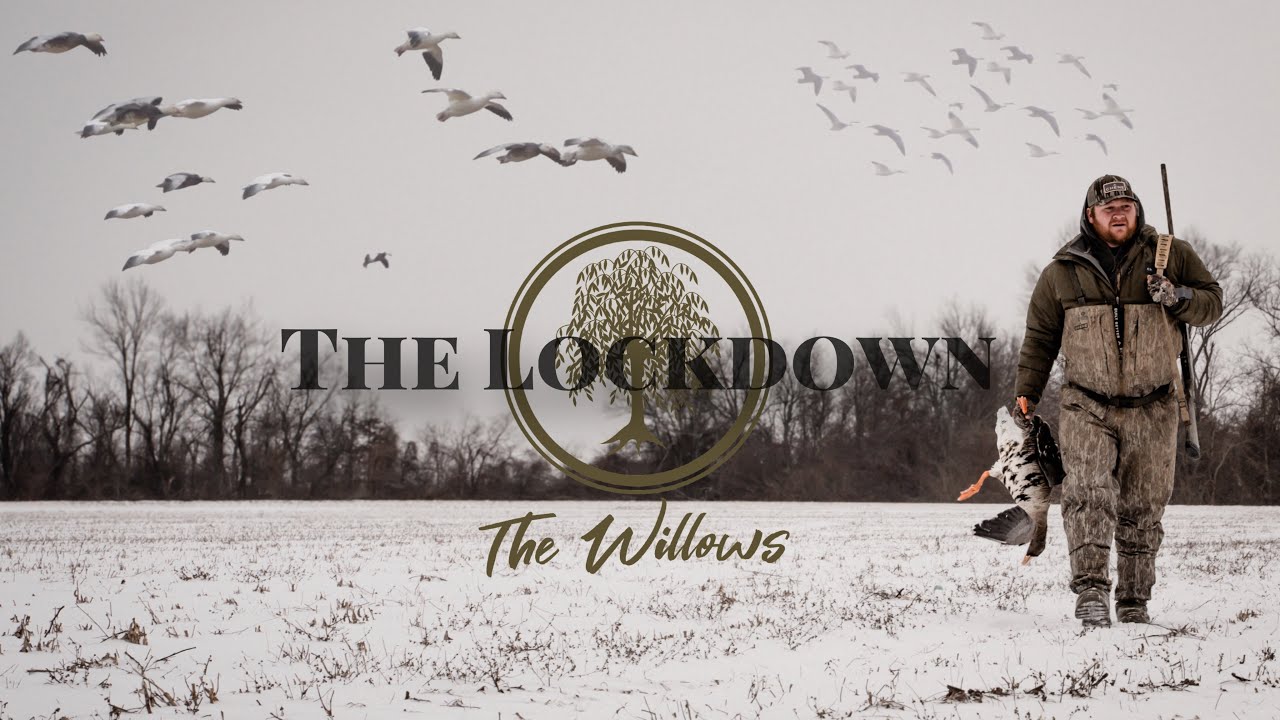 The Lockdown - Hunting the Mississippi Delta in RECORD LOW Temps