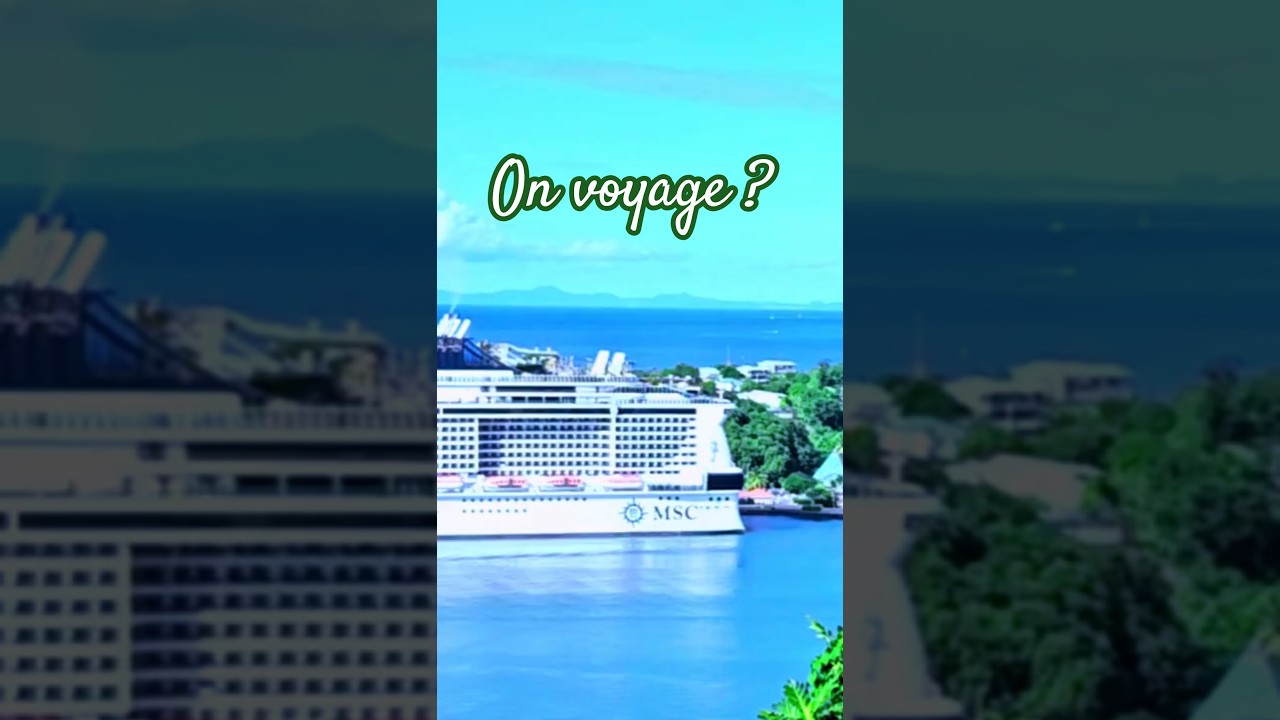 Отправьтесь в Карибское море на борту MSC VIRTUOSA.