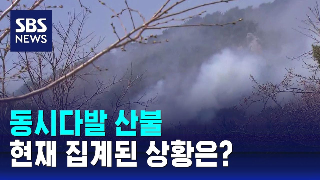 동시다발 산불, 현재 집계된 상황은? / SBS