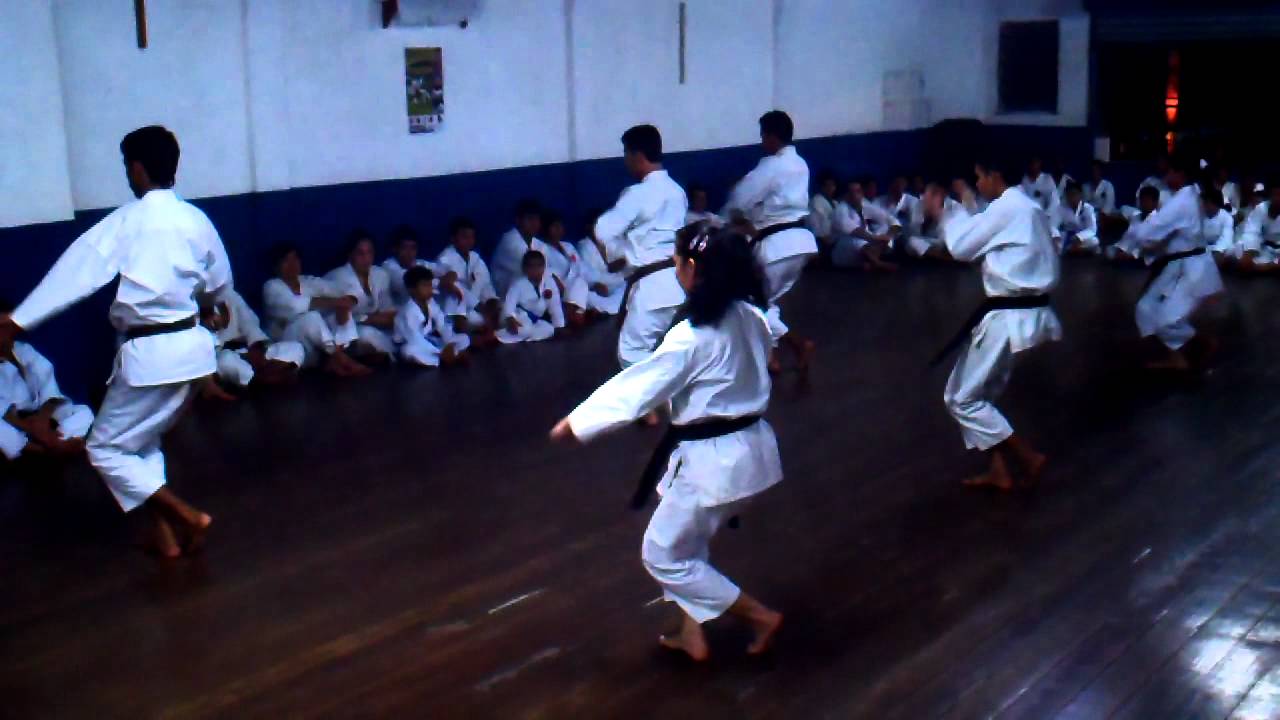 GUSUKUMA CHINTOU NANBEIKAI GENSEIRYU KARATE-DO BUTOKUKAI