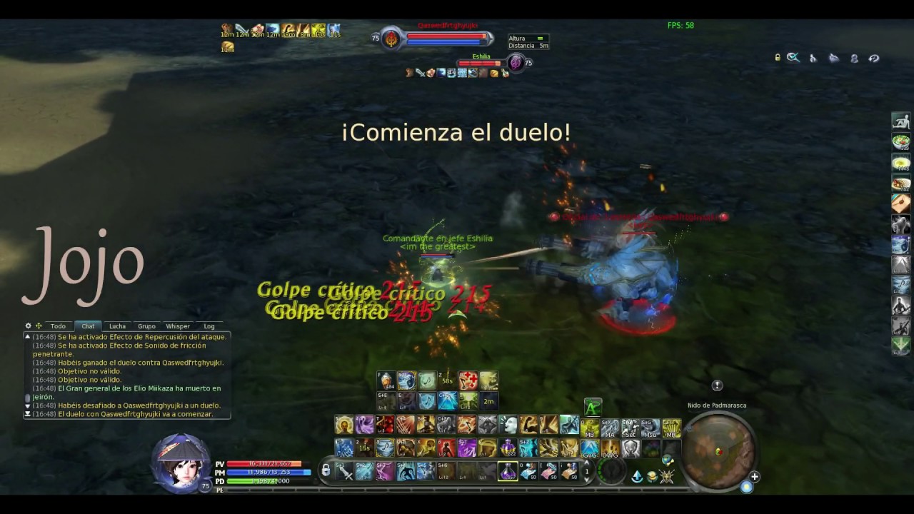!Aion 5.4 Bard PvP