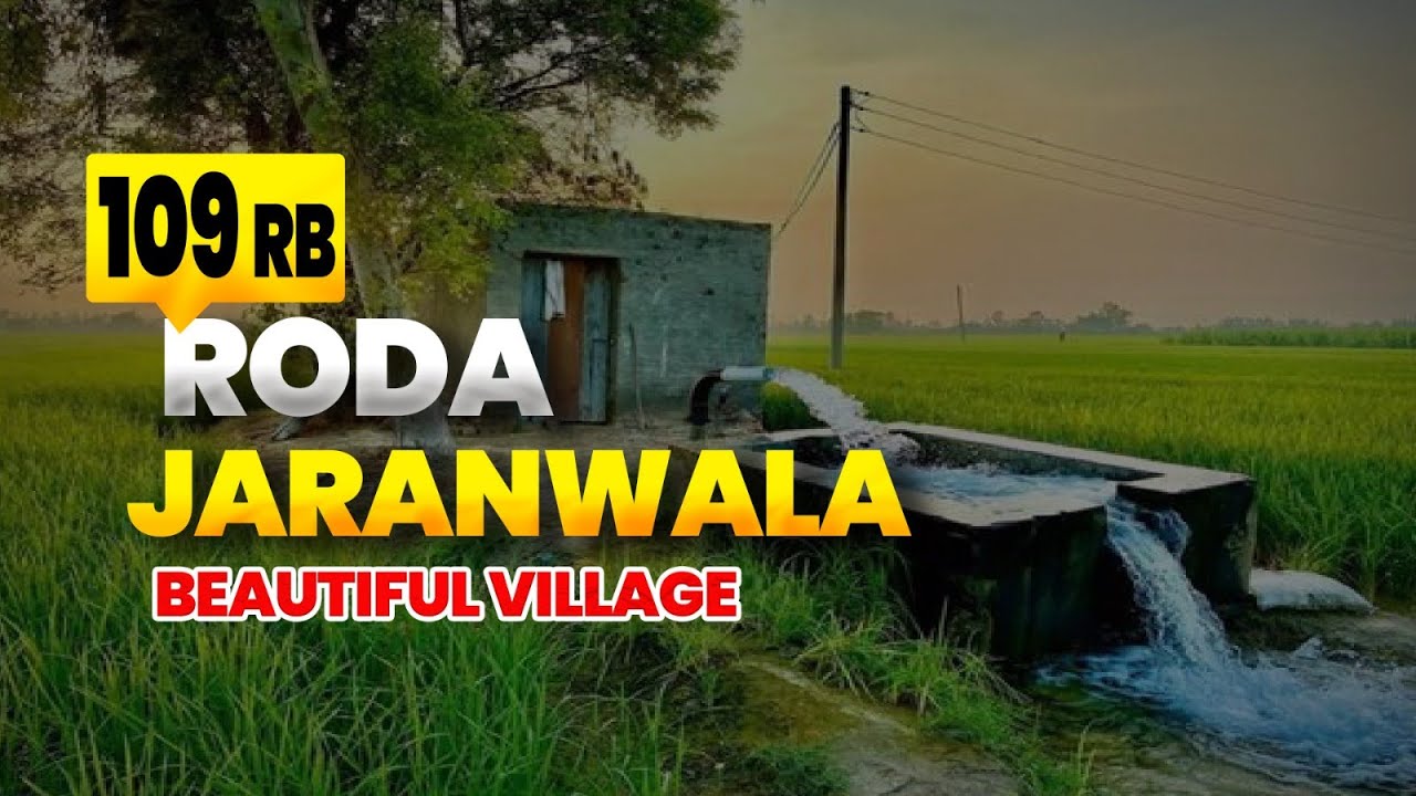 Chak Number 109 RB Roda Jaranwala Punjab Pakistan | Roda Singh Village in Pakistan | Indoz TV