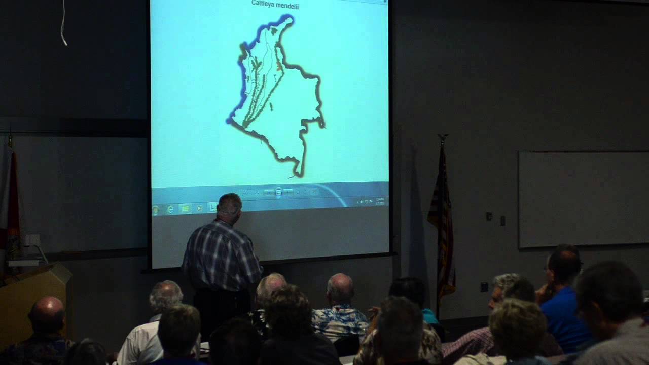 2015 - Ken Roberts (cattleya mendelii), 5th Annual Cattleya Symposium