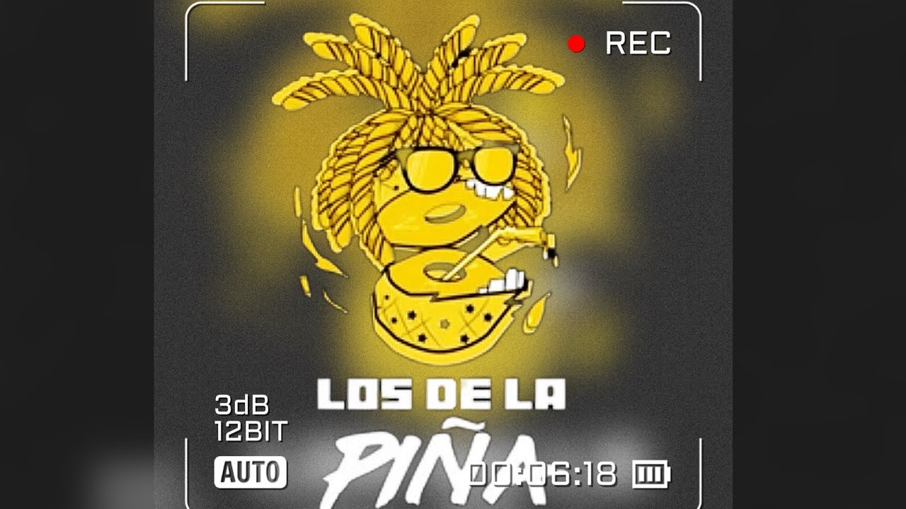 🌴🏝Mix los de la piña 🍍 ❌ ElJey😈 RANCHA🌴☀️🏝