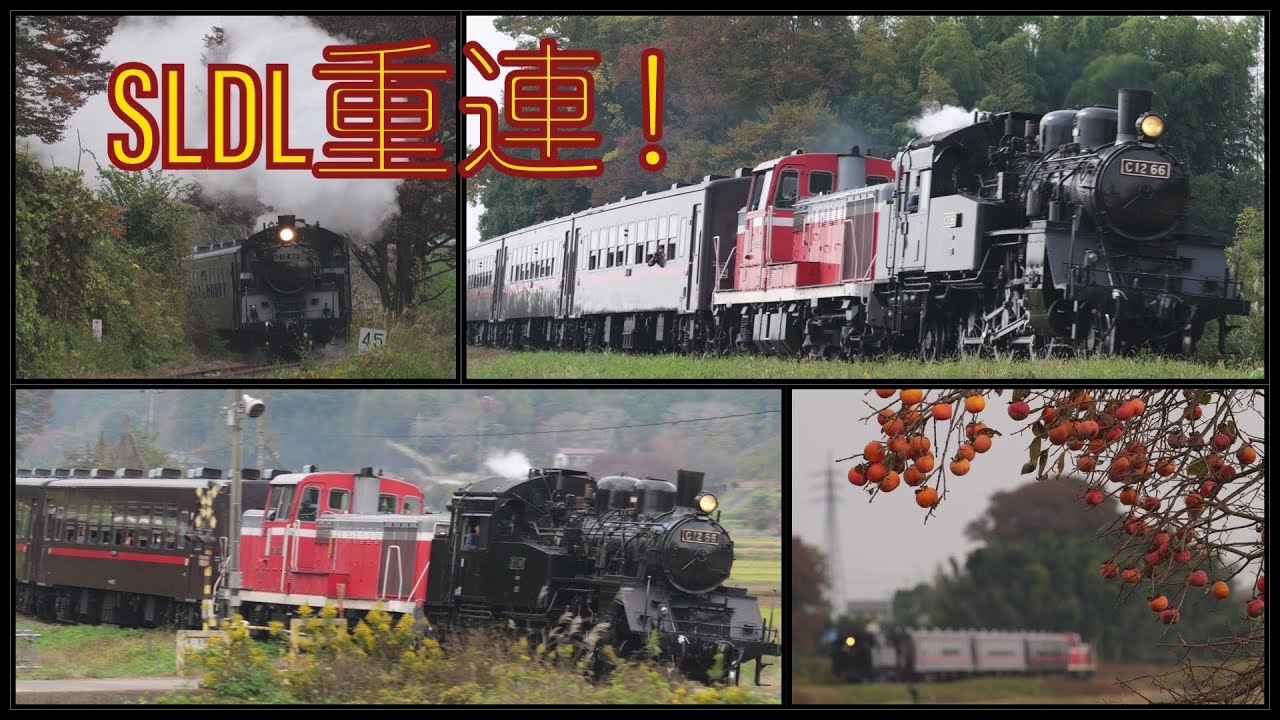 【祝！真岡鉄道C12-66製造90年】SL・DL重連！紅葉と「SLもおか」2023.11.5 [Moka-railway Class C12] 