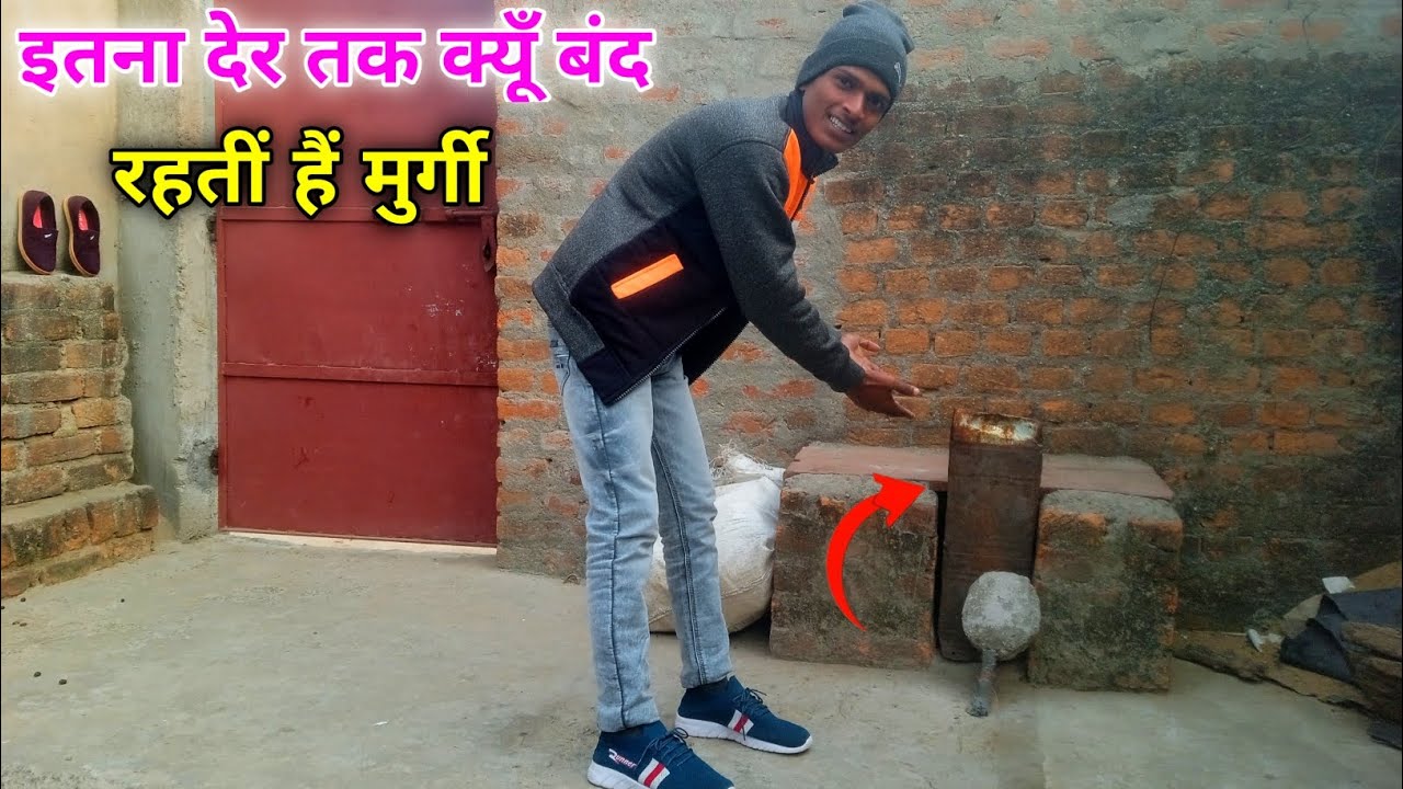 इतना देर तक , क्यूँ बंद रहतीं हैं मुर्गी || 
