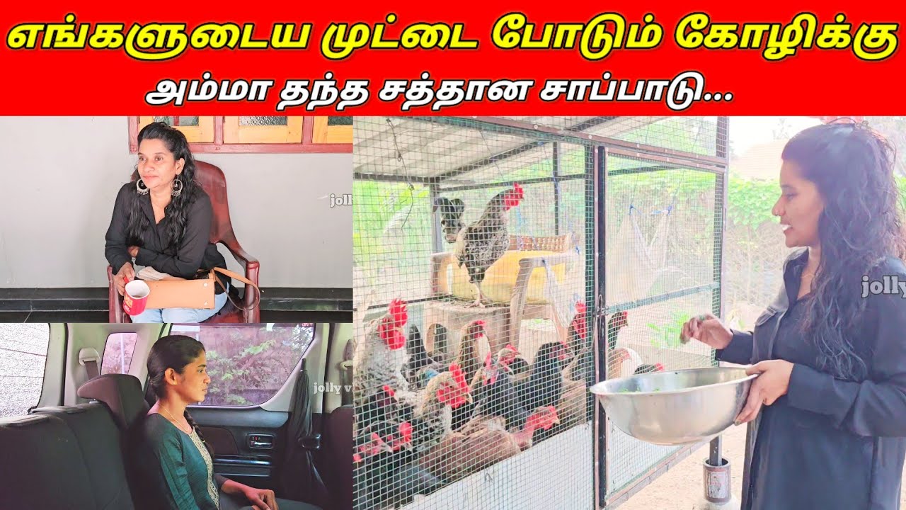 TODAY OUR SUNDAY VLOG..👍👍/jolly vlog/jaffna vlog/👍👍