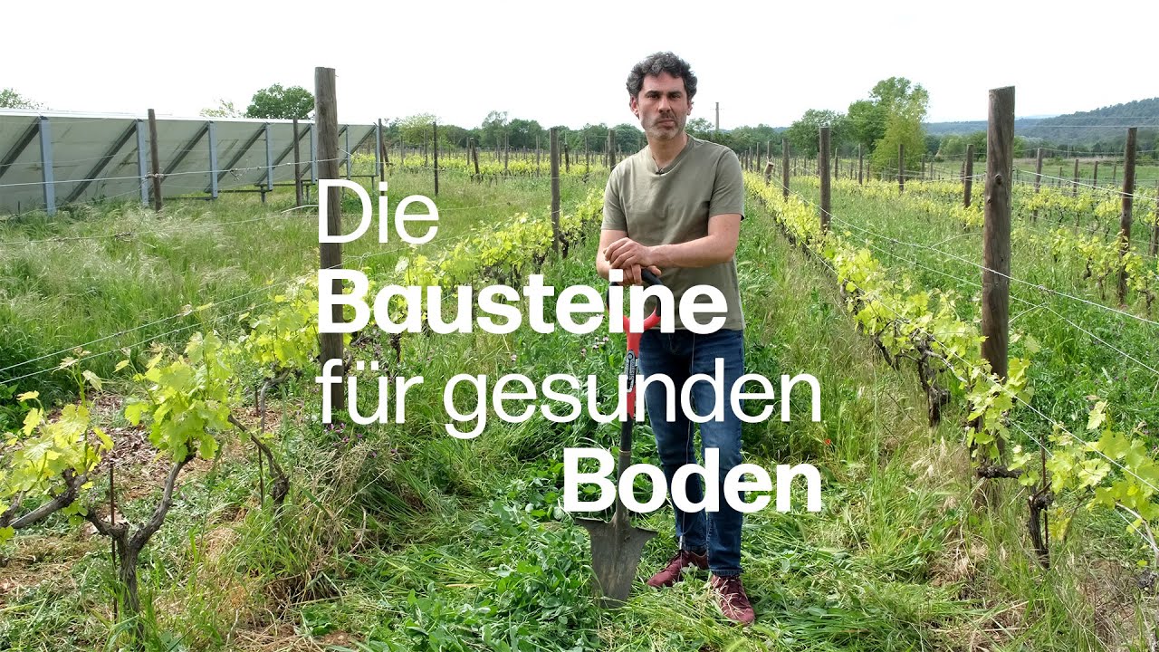Nicola Fagotto erklärt, was ein gesunder Boden im Weinbau bedeutet