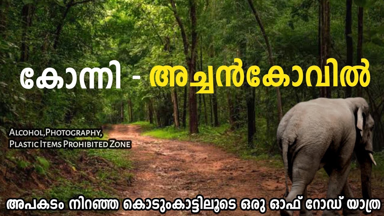 കേരളത്തിലെ അതിമനോഹരവും അതിലേറെ അപകടവും നിറഞ്ഞ വനപാത  | Achankovil | Konni -Achankovil Forest Trip