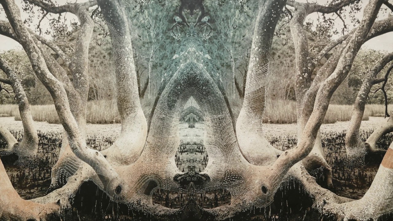 Joshua Yeldham | Fig of endurance