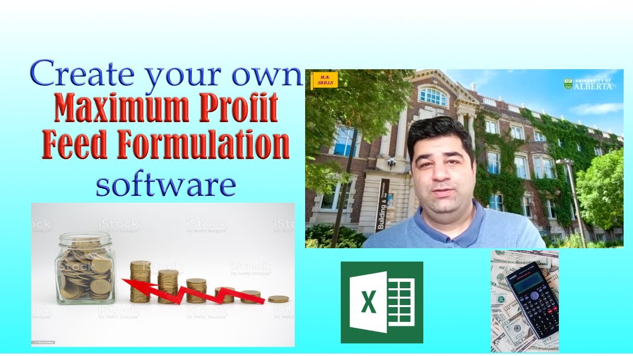 Maximum profit feed formulation