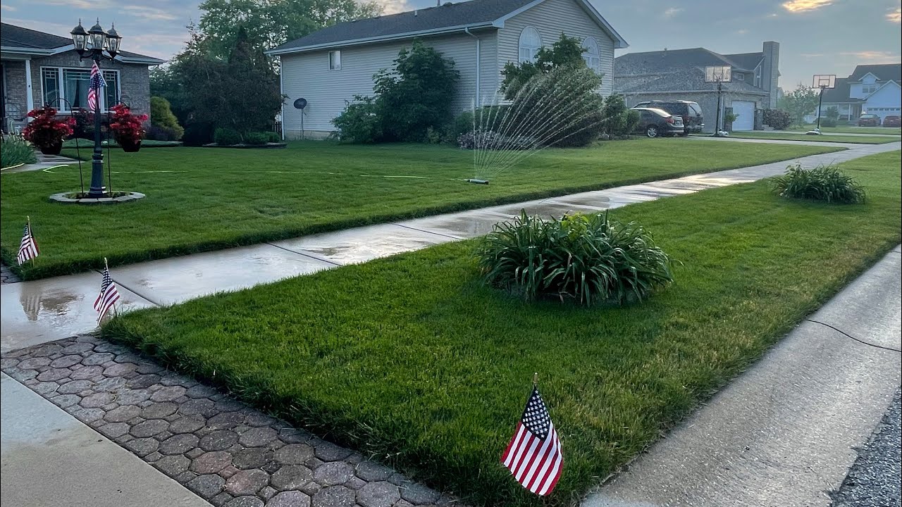 How to keep your lawn alive in summer