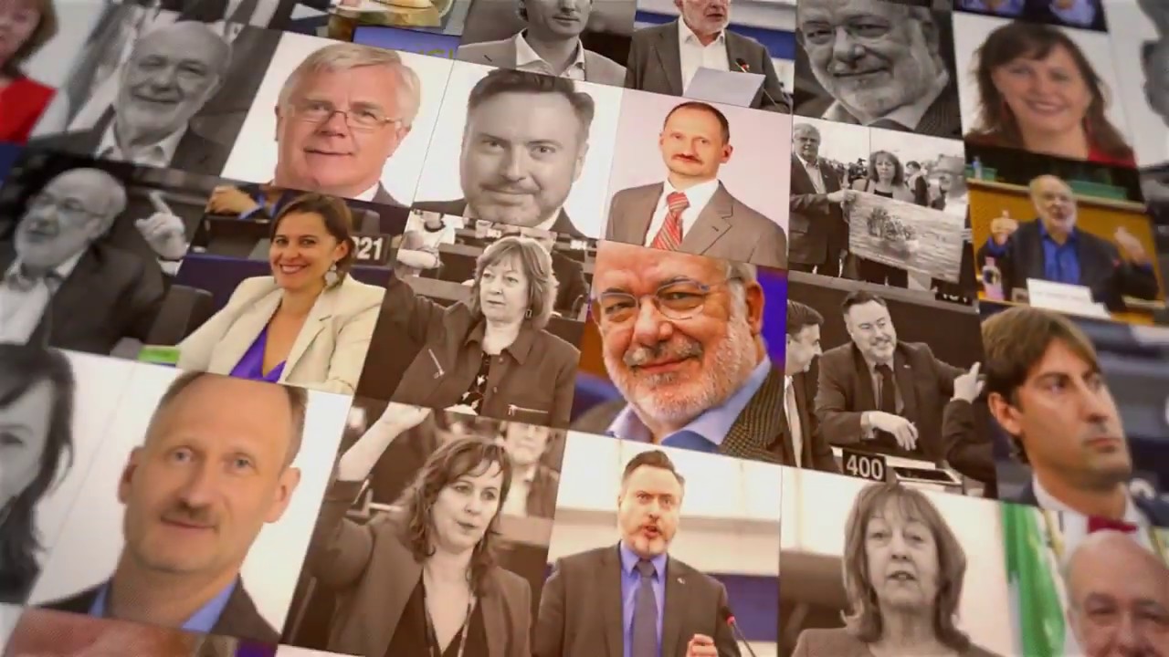 The European Free Alliance (EFA) in the European Parliament