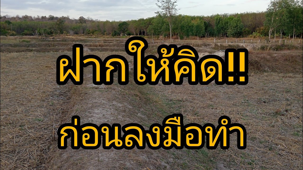 ขยันอย่างเดียว คงไม่รอด!