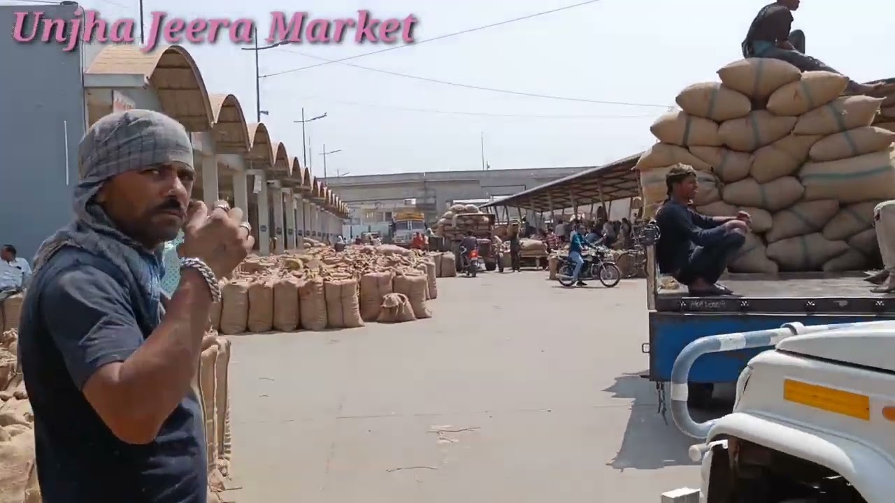 Indian No1 Unjha Jeera Market, India top Jeera Market,Unjha Jeera Market,Unjha Biggest Jeera Market.