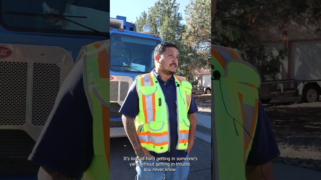 A Look Into Green Waste Collections