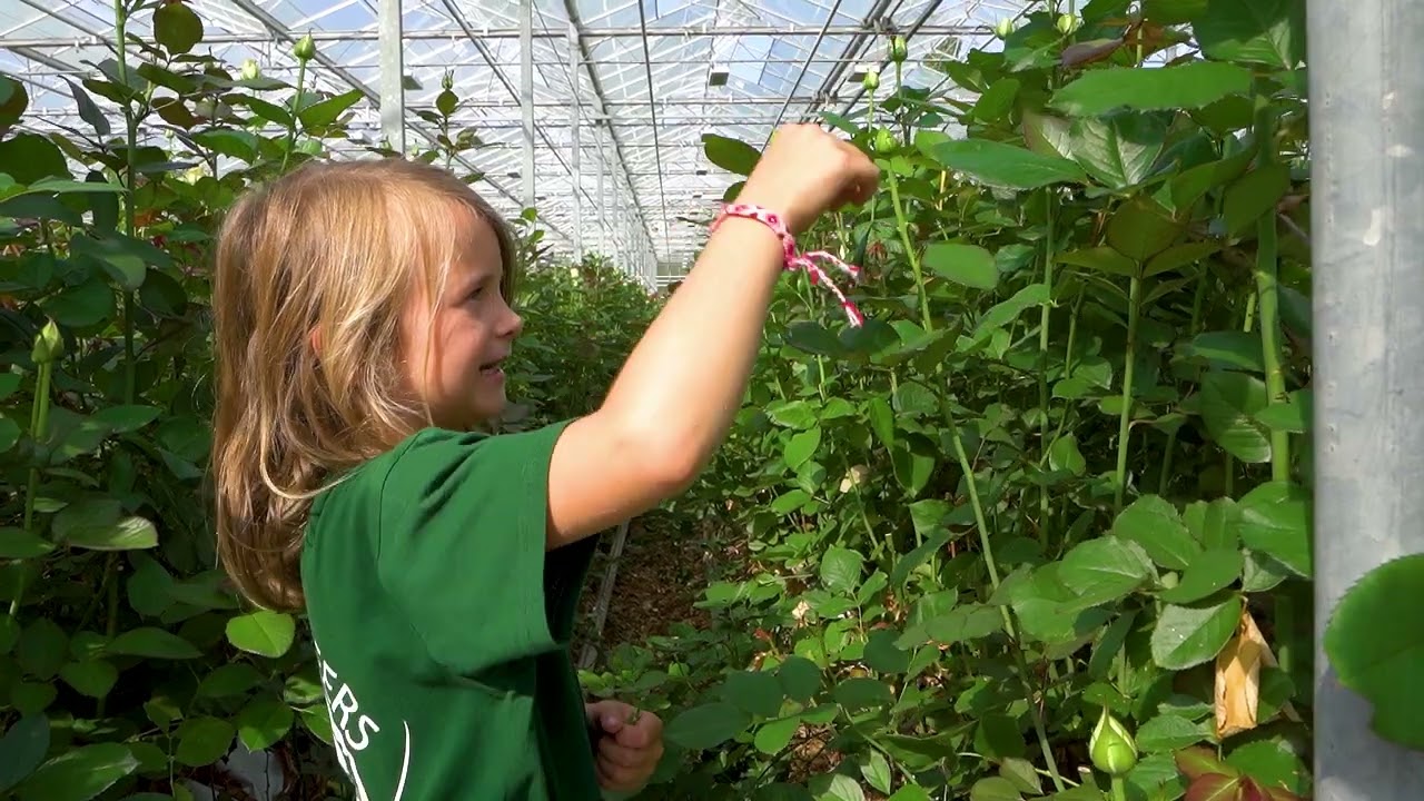 VILT TeeVee: Jong Geleerd - Fien Scheers (6)