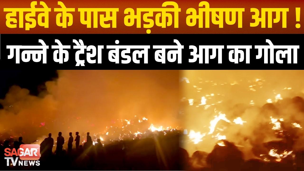नेशनल हाईवे पर धधका खेत! गन्ने की पत्तियों के बंडल जलकर खाक, हाईवे पर मची अफरा-तफरी | SAGAR TV NEWS