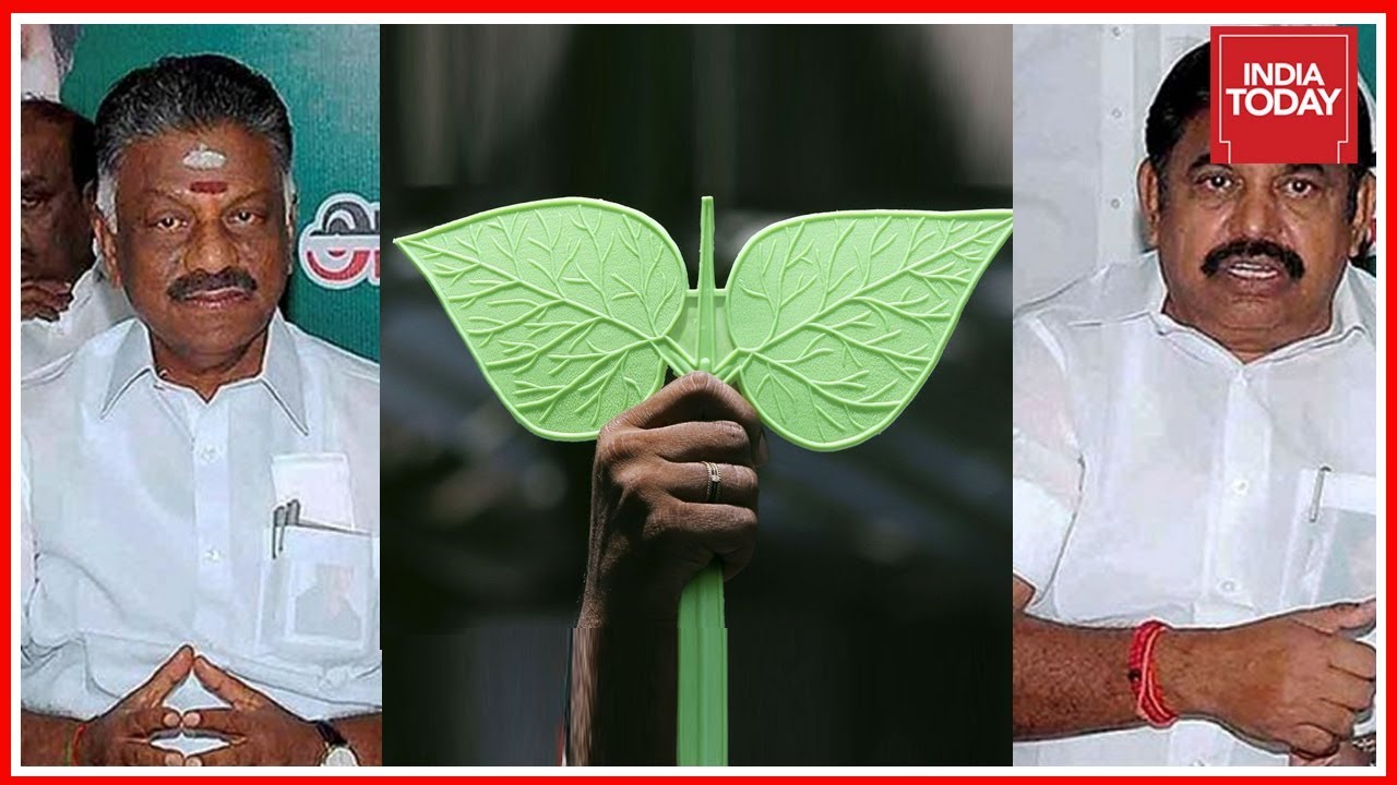 Unified AIADMK Will Use 2 Leaves Symbol