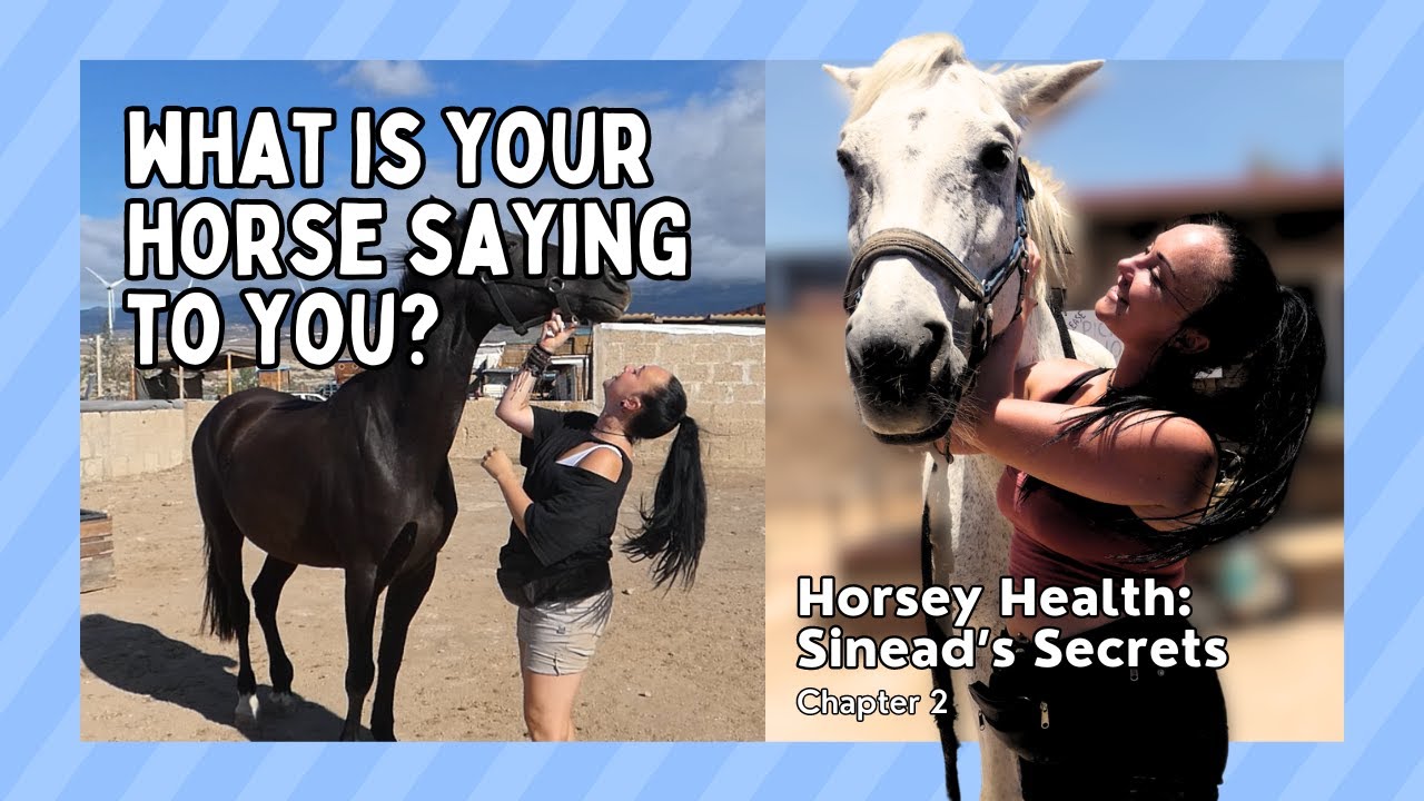 Horsey Health - Sinead's Secrets | Ch. 2 - What Is Your Horse Saying To You?