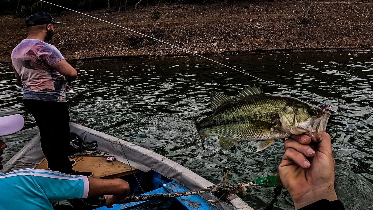 جنة صيد سمك البلاك باص 💤💤💤  أجواء ربيعية في  أحضان  الطبيعة المغربية 🌞🌸🌳🌳🌳catch and release