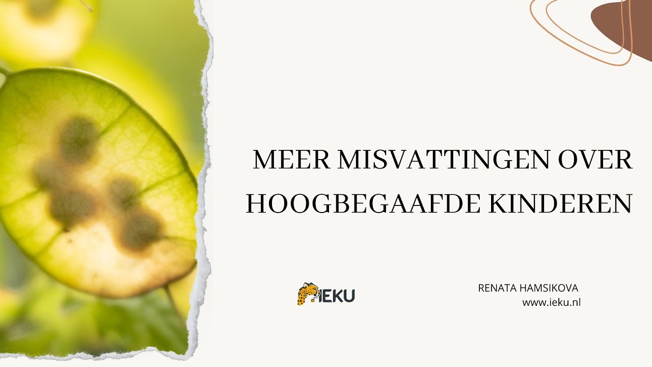 Meer misvattingen over hoogbegaafde kinderen